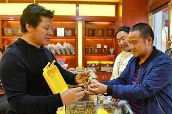 Caterpillar fungi promoted at Lhasa’s first cordyceps sinensis trade fair