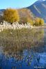 Nov. 5, 2018 -- Photo taken on Nov. 4, 2018 shows reed flowers in a wetland in Qushui County of Lhasa, southwest China`s Tibet Autonomous Region. (Xinhua/Wang Quanquan) 
