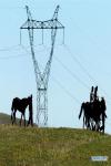 Dec. 7, 2018 -- Herdsmen ride horses near a wind power plant in Hexigten Qi of north China`s Inner Mongolia Autonomous Region, May 19, 2007. China has been delivering on its commitment to the international community on climate change by continuously shifting to a more green economy over the past years. New energy-rich regions like Inner Mongolia and Ningxia are sending more electricity generated from clean energy to the country`s bustling east to help reduce the country`s heavy reliance on coal in the fight against pollution and coping with climate change. China is also a leader in new energy vehicles (NEVs), with many regions across the country moving to replace their traditional gasoline-powered buses and taxis with green-energy vehicles. The country has been the world`s largest NEV market for three consecutive years, with some 777,000 NEVs sold in 2017 alone. Sales in the first 10 months of this year jumped 75.6 percent year on year to 860,000 units. Thanks to increased investment in green energy, China`s carbon intensity, or the amount of carbon dioxide emissions per unit of GDP, in 2017 had declined by 46 percent from 2005 levels, meeting the target ahead of schedule of a 40-45 percent drop by 2020, according to the Chinese Ministry of Ecology and Environment. [Photo/Xinhua]