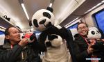 Jan. 2, 2019 -- A person dressed as giant panda interacts with passengers on the bullet train C6651 of high-speed Chengdu-Ya`an railway on Dec. 28, 2018. The newly-built Chengdu-Ya`an railway started operation on Friday. [Photo/Xinhua]