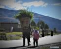 Jan. 7, 2019 -- A woman carrying forage grass on her back is seen with her daughter in Dingri County in Xigaze, southwest China`s Tibet Autonomous Region, Sept. 13, 2018. Amazing shots of Tibet in 2018 are seen through lenses of Xinhua photographers. (Xinhua/Purbu Zhaxi)