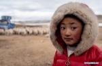 Feb. 1, 2019 -- A girl is seen at a herdsman resettlement site in Bange County, southwest China`s Tibet Autonomous Region, Jan. 18, 2019. In the past, herdsmen in Tibet endured a ridiculously long, cold winter from October to the end of June, before moving to the summer meadow. They had no fixed residence and migrated when the seasons changed, taking their tents, kitchen utensils and other necessities on horseback. Nowadays, most herdsmen benefit from local resettlement program. They said goodbye to their winter hovels and moved into brick-and-mortar Tibetan-style homes. (Xinhua/Purbu Zhaxi) 