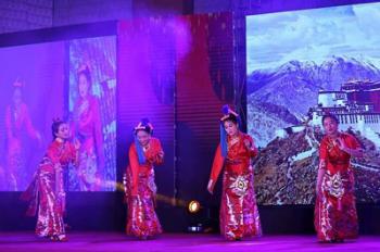 Reception held to celebrate upcoming Chinese Spring Festival in Kathmandu