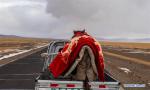 A horse is transported on a vehicle to a horse race in Ngari Prefecture, southwest China`s Tibet Autonomous Region, Feb. 7, 2019. Since 1990, horses have been drifting away from plateau life, as most villages are connected to modern road networks these days. In some places, however, horses have regained their status as a mode of transport. Gyumey Dorje lives at the foot of Mt. Gang Rinpoche, a sacred mountain for Tibetans and a hot tourist attraction. There, villagers offer tourists services such as horseback riding or transferring goods up and down the mountain. `The horse is no common livestock,` said Ngawang Tenzin from the local culture authority. `The changing status of horses reflects the development of Tibet.` (Xinhua/Purbu Zhaxi)