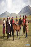 A horse is seen with people in Ngari Prefecture, southwest China`s Tibet Autonomous Region, Aug. 6, 2018. Since 1990, horses have been drifting away from plateau life, as most villages are connected to modern road networks these days. In some places, however, horses have regained their status as a mode of transport. Gyumey Dorje lives at the foot of Mt. Gang Rinpoche, a sacred mountain for Tibetans and a hot tourist attraction. There, villagers offer tourists services such as horseback riding or transferring goods up and down the mountain. `The horse is no common livestock,` said Ngawang Tenzin from the local culture authority. `The changing status of horses reflects the development of Tibet.` (Xinhua/Zhou Jianwei)