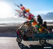 Feb. 18, 2019 -- A man holding new prayer flags is seen on a vehicle in Lhasa, southwest China`s Tibet Autonomous Region, Feb. 6, 2019. The Tibetan New Year, known as Losar, is the most important festival in the Tibetan calendar. This year`s Losar fell on Feb. 5 and coincided with the Spring Festival. Losar is a time for family reunions. It is marked by religious rituals, long prayers, horse racing, family gatherings and feasts. As the festival draws near, people go shopping, do some cleaning and decorate their folk houses. Families feast on Tibetan food. Women make Kharbse, a popular dish made from flour and yak butter, and guthuk, a traditional snack similar to a dumpling. People plant their own highland barley, which is believed to indicate the harvest in the following year. On the altar in the living room there are placed, a pastry in the shape of a sheep head, a pot of highland barley, dates, air-dried beef, candies, nuts, butter, and brown sugar, presented to pray for prosperity and good weather for crops. In Tibetan `sheep head` is pronounced similarly to `the year`s beginning` thus making it an auspicious symbol. Guthuk are sometimes filled with `surprises` including charcoal, wool or chillies. Someone who receives a guthuk filled with wool is described as being `good-natured`, while coins or wheat mean good fortune. The food is washed down with highland barley liquor. Celebrations of the Tibetan New Year usually last for 15 days. Local people also participate in activities including Tibetan opera performance, folk dancing, archery and wrestling. (Xinhua/Purbu Zhaxi)