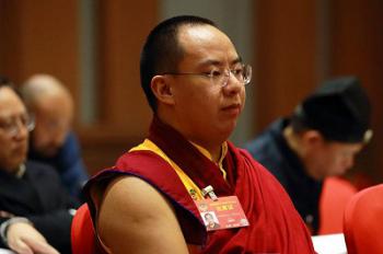 11th Panchen Lama joins panel discussion with political advisors