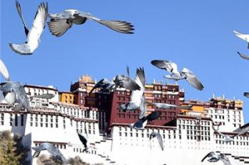 Spring scenery in Tibet