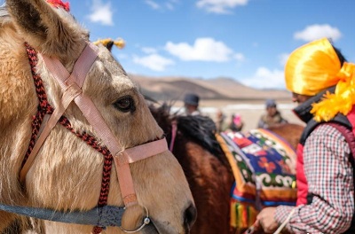 Horse race held in Tibet village