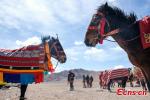 April 12, 2019 -- A horse race in Qianggu Village in Ngari Prefecture, Southwest China`s Tibet Autonomous Region, April 9, 2019. The per capita income of the village reached 14,000 yuan ($2,086) in 2017 and locals all live above the poverty line. (Photo: China News Service/He Penglei)