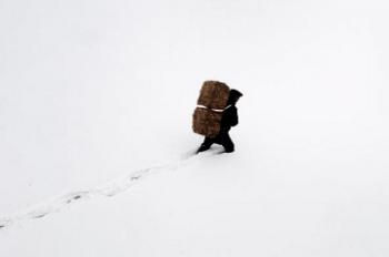 The great animal rescue: People risk their lives in the snow hazard
