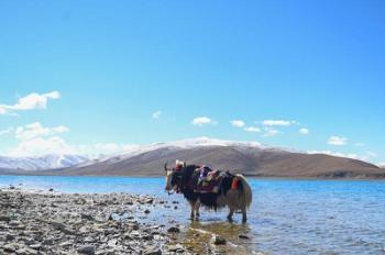 Scenery of Yamzbog Yumco Lake in China’s Tibet