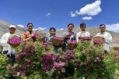 In pics: a rural tourist destination in China's Tibet