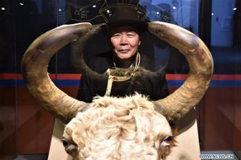 Pic story of Yak Museum curator in China’s Tibet