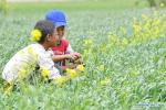 June 24, 2019 -- Children have fun in the highland barley fields of Bainang County, Xigaze, southwest China`s Tibet Autonomous Region, June 22, 2019. (Xinhua/Zhang Rufeng)