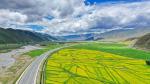 July 17,2019--An aerial photo of qingke (highland barley) fields and blooming canola flowers along the highway linking Lhasa with Nyingchi in Tibet autonomous region, July 16, 2019. [Photo/Xinhua]