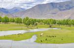 July 17,2019--A picturesque and idyllic landscape along the highway linking Lhasa with Nyingchi in Tibet autonomous region, July 16, 2019. [Photo/Xinhua]