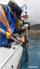 July 24, 2019 -- Members of a Chinese scientific expedition team use a drill to get the sediment core of Lake Yamzhog Yumco in Nanggarze County of Shannan, southwest China`s Tibet Autonomous Region, July 22, 2019. Chinese scientists are working on a survey to measure the depth of a major lake in southwest China`s Tibet Autonomous Region, sources with the Chinese Academy of Sciences (CAS) said Tuesday. Lake Yamzhog Yumco with an area of about 590 square km is located in Nanggarze County in the city of Shannan. Yamzhog Yumco along with Lake Namtso and Lake Manasarovar are regarded as the three holy lakes of Tibet. (Xinhua/Jigme Dorje)