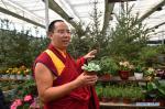 Aug.6, 2019 -- The 11th Panchen Lama visits an eco-agriculture park in Ali Prefecture of southwest China`s Tibet Autonomous Region, Aug. 1, 2019. Bainqen Erdini Qoigyijabu, the 11th Panchen Lama, who is also a member of the Standing Committee of the Chinese People`s Political Consultative Conference (CPPCC) National Committee and vice president of the Buddhist Association of China, recently went on a research tour on the society in Ali Prefecture. (Xinhua/Chogo)