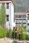Aug.22, 2019 -- Children pose for a photo at Sijijixiang Village of Caina Township in Quxu County, southwest China`s Tibet Autonomous Region, Aug. 8, 2019. Sijijixiang is a relocation village in a valley of Caina Township. It features Tibetan-style houses with four colors indicating the four seasons. On Dec. 15, 2016, over 260 impoverished households settle into their new home here from poverty-stricken areas in Quxu, along with another 98 households who used to live above 4500 meters on the plateau. Thanks to the improved infrastructure, the village launched a series of projects to help villagers out of poverty and live a well-off life, including running seedling planting base, medical herbs base and cow farm. (Xinhua/Li Xin)