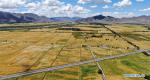 Sept.3, 2019 -- Aerial photo taken on Aug. 31, 2019 shows the highland barley field in Bainang County, Xigaze, southwest China`s Tibet Autonomous Region. (Xinhua/Jigme Dorje)