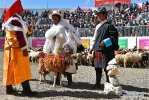 Sept.12, 2019 -- Herdsmen eulogize a bellwether during the sheep show in Zhexia Township of Bainang County in Xigaze, southwest China`s Tibet Autonomous Region, Sept. 9, 2019. Sheep show, or sheep counting, is a traditional activity at pastoral areas in southwest China`s Tibet Autonomous Region, during which herdsmen showcase and count the number of their sheep. They will also pick out and eulogize their bellwethers in a symbolic gesture to pray for good growth of livestock in the next year. (Photo by Sun Fei/Xinhua)
