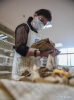 Sept.17, 2019 -- A staff member examines ancient documents with a history of more than 500 years at the ancient documents protection center of Tibet in Lhasa, southwest China`s Tibet Autonomous Region, Sept. 12, 2019. Since 2010, over 18,000 ancient documents in Tibet have been registered, with 291 ancient books being listed as national rare antique books. More than 3,000 pages of ancient documents from Paingar and Mangra monasteries have been restored. (Xinhua/Jigme Dorje)
