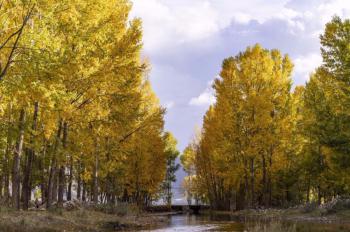 Autumn scenes of Lhasa River valley, China’s Tibet