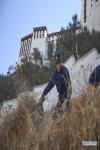 Nov.7, 2019 -- A firefighter removes weeds from the surroundings of the Potala Palace for winter fire prevention in Lhasa, capital of southwest China`s Tibet Autonomous Region, Nov. 6, 2019. The 1,300-year-old palace was built by Tibetan King Songtsa Gambo in the seventh century. The palace was included on the UNESCO World Heritage List in 1994. (Xinhua/Jigme Dorgi)
