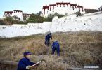 Nov.7, 2019 -- Firefighters remove weeds from the surroundings of the Potala Palace for winter fire prevention in Lhasa, capital of southwest China`s Tibet Autonomous Region, Nov. 6, 2019. The 1,300-year-old palace was built by Tibetan King Songtsa Gambo in the seventh century. The palace was included on the UNESCO World Heritage List in 1994. (Xinhua/Li Xin)