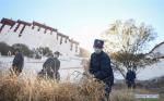 Nov.7, 2019 -- Firefighters remove weeds from the surroundings of the Potala Palace for winter fire prevention in Lhasa, capital of southwest China`s Tibet Autonomous Region, Nov. 6, 2019. The 1,300-year-old palace was built by Tibetan King Songtsa Gambo in the seventh century. The palace was included on the UNESCO World Heritage List in 1994. (Xinhua/Jigme Dorgi)