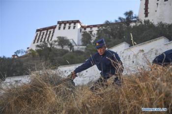 Weeds removed from surroundings of Potala Palace for winter fire prevention in Tibet