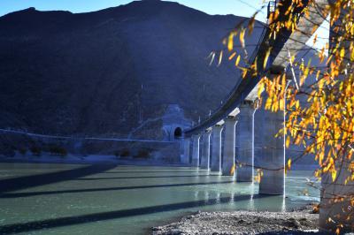 Rail-laying work of a 4.6km-long bridge completed in SW China’s Tibet