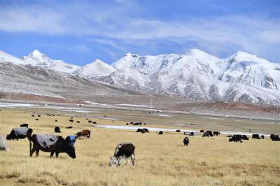 Snow scenery in SW China’s Tibet
