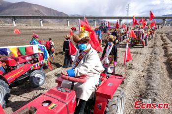 Spring ploughing ceremonies take place in Tibet to pray for year with good harvests