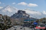 March 25,2020 -- This photo taken on March 24, 2020 shows the beautiful scenery after snowfall in Lhasa, southwest China`s Tibet Autonomous Region. (Photo: China News Service/He Penglei)