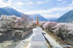 March 31,2020 -- Aerial photo taken on March 26, 2020 shows peach blossoms in Bomi County, Nyingchi of southwest China`s Tibet Autonomous Region. (Xinhua/Purbu Zhaxi)