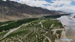 June 28,2020 -- Aerial photo taken on June 27, 2020 shows a shelter forest along the Yarlung Zangbo River in Shannan, southwest China`s Tibet Autonomous Region. (Xinhua/Wang Zehao)