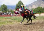 Aug.4,2020 -- Farmers dressed in festive costumes take part in a horse race to celebrate the Wangguo Festival at Sangda village in Lhasa, Southwest China`s Tibet autonomous region, on Aug 2, 2020. The Wangguo Festival, which has a history of more than 1,500 years, is a traditional festival of Tibetan people to greet the forthcoming harvest. [Photo by Daqiong/chinadaily.com.cn]