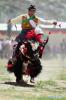Aug.10,2020 -- A villager from Quxu County takes part in a yak racing to celebrate the Ongkor Festival in Lhasa, southwest China`s Tibet Autonomous Region, Aug. 7, 2020. The Ongkor (Bumper Harvest) Festival, a national intangible cultural heritage, is celebrated annually by local people as they pray for good harvests of crops. (Photo by Soinam Norbu/Xinhua)