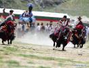 Aug.10,2020 -- Villagers from Quxu County take part in a yak racing to celebrate the Ongkor Festival in Lhasa, southwest China`s Tibet Autonomous Region, Aug. 7, 2020. The Ongkor (Bumper Harvest) Festival, a national intangible cultural heritage, is celebrated annually by local people as they pray for good harvests of crops. (Photo by Soinam Norbu/Xinhua)
