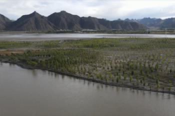 China’s Tibet improves environment along Yarlung Zangbo River banks
