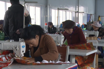 Tibet helps more than 600,000 farmers, herdsmen find jobs