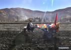 March 17,2021 -- A man takes part in a ceremony marking the start of spring ploughing in Shannan, southwest China`s Tibet Autonomous Region, March 16, 2021. (Xinhua/Jigme Dorje)