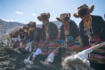 People take part in ceremony marking start of spring ploughing in Tibet
