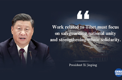 Xi's key remarks on Tibet