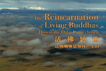 The Reincarnation of Living Buddhas: How is the Dalai Lama chosen