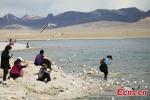 June 10,2021 -- People visit Namtso Lake in Tibet, June 2, 2021. (Photo: China News Service/Chen Xiaoyuan)