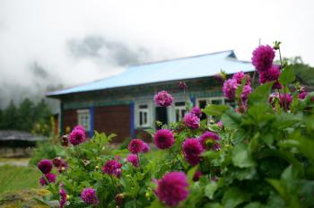Homestays create a way to wealth for remote Tibet county