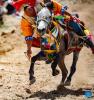 Sept.1,2021 -- A rider competes during a horse race in Gangdan Village of Gonggar County, southwest China`s Tibet Autonomous Region, Aug. 26, 2021. An annual horse racing event was held here on Thursday to celebrate the upcoming harvest season. (Xinhua/Purbu Zhaxi)